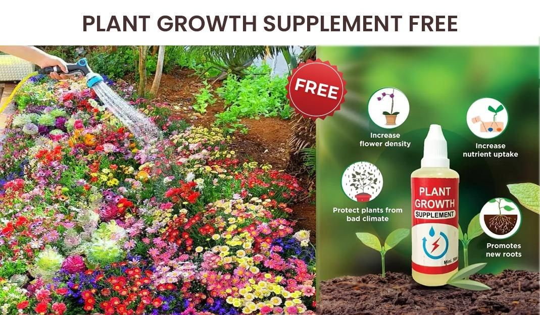 Buy Varieties of Flower Seeds (Pack of 100) And Get Plant Growth Supplement Free By Cosmic Store