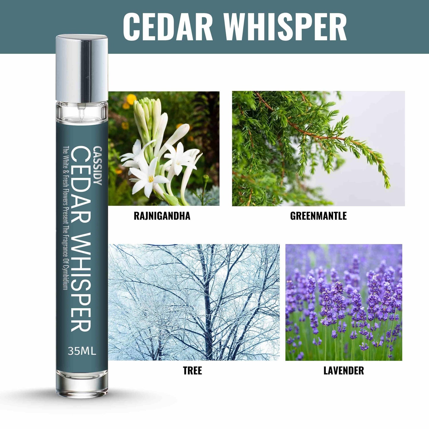 Cosmic Perfume CASSIDY Cedar Whisper Perfume, 35ml.( Pack of 2)