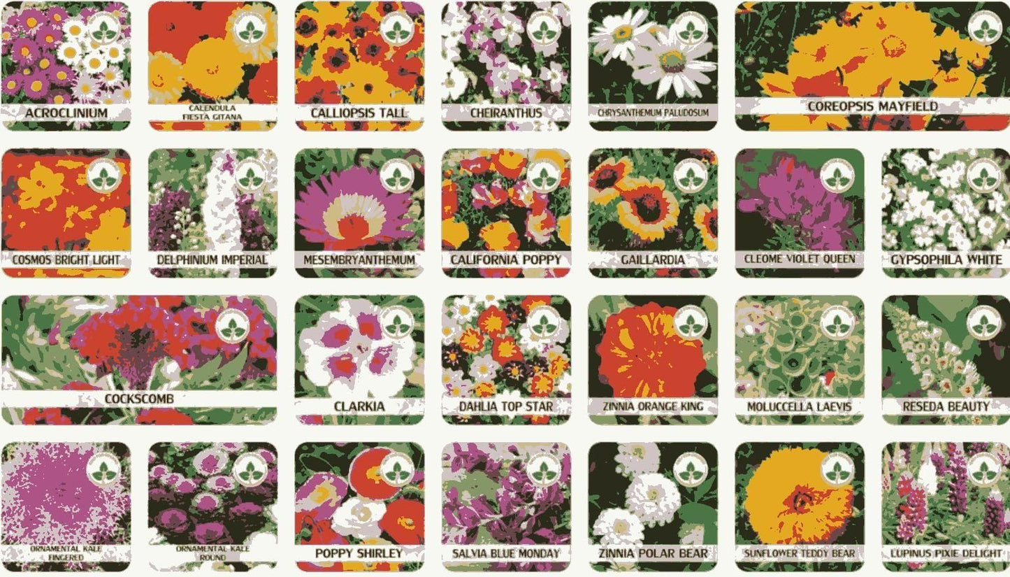 Buy Varieties of Flower Seeds (Pack of 100) And Get Plant Growth Supplement Free By Cosmic Store